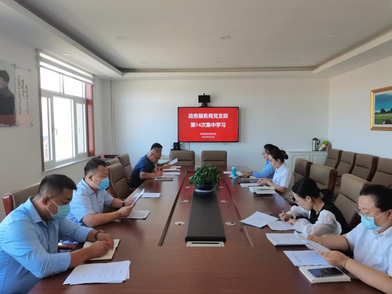 政务服务局党支部开展第14次 集中学习会议
