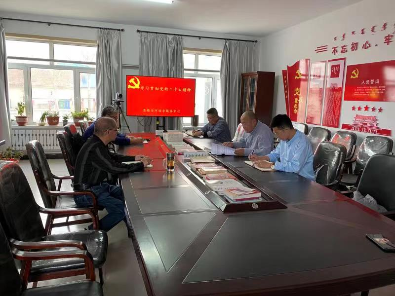 召开专题学习贯彻党的二十大精神会议