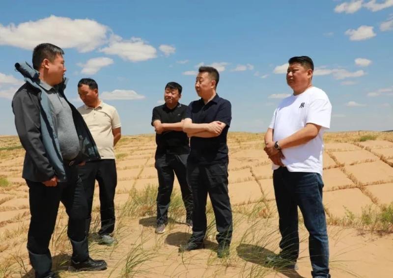 双宝深入巴彦淖尔镇调研